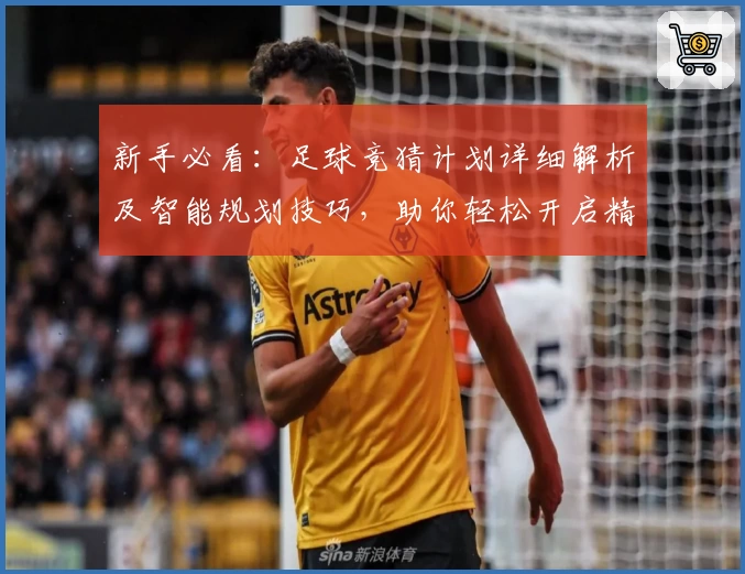 新手必看：足球竞猜计划详细解析及智能规划技巧，助你轻松开启精彩预测之旅