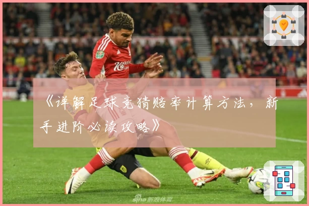《详解足球竞猜赔率计算方法，新手进阶必读攻略》