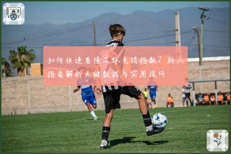 如何快速看懂足球竞猜指数？新人指南解析关键数据与实用技巧